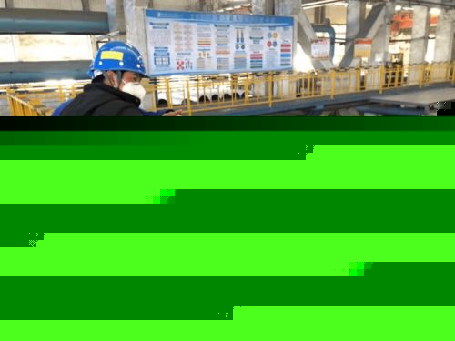 我省專家博士后科技服務團走進黃石，為信息技術咨詢服務注入新動能